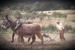 Con pulso y sin contaminar (Emeterio Martín García).
