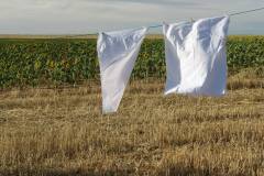Solo queda el viento (María Victoria Aranda).